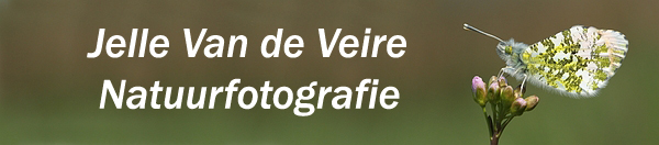 Jelle Van de Veire Natuurfotografie banner